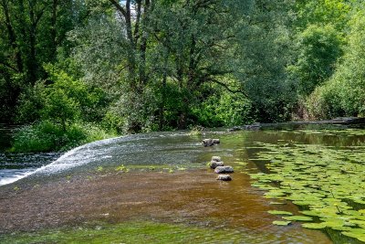 Bena - balade en nature accompagnée
