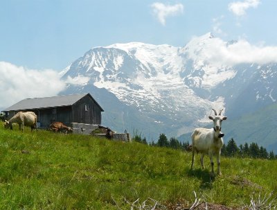 Randonnée à l'Alpage de la Charme