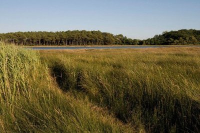 Forêt et pointe du Listoir