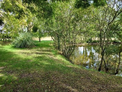 Sentier des Bois de Lupsault