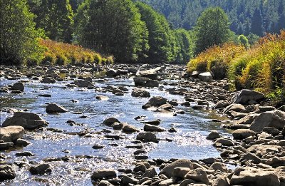 Gorges du Lignon du Velay