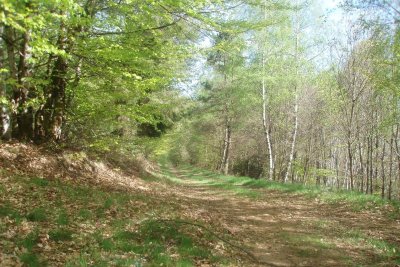 VTT - Gravel - Piste jaune - 4 km - circuit 45