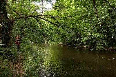 La vallée de Tréauray et la rivière du Loc'h