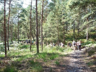 Forêt d’Ermenonville, en forêt des abbayes