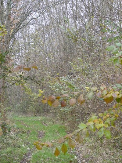 Boucle de détente à Saint-Michel l'Ecluse et Léparon