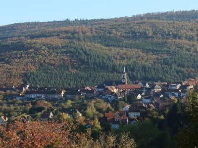 Circuit vélo - De Grendelbruch au Mont Sainte-Odile