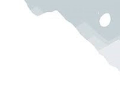 Cavalcade Internationale