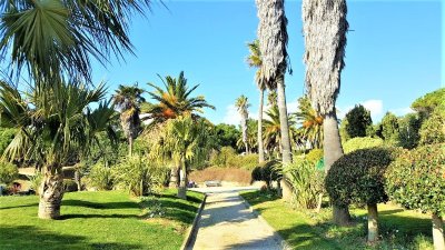 Parc de la Méditerranée