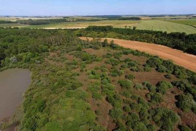 Sentier Nature, Verdure, Bouchures