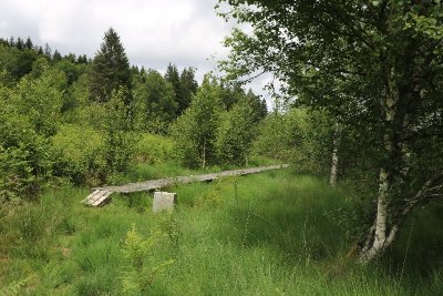 Chemin de découverte de la tourbière de Négarioux-Malsagne