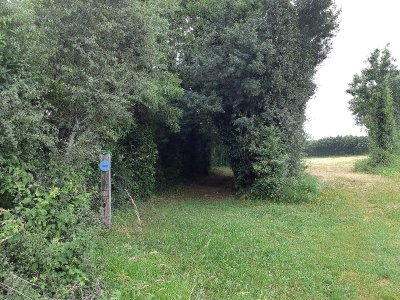 Sur les pas du chasseron - Saint-Génard