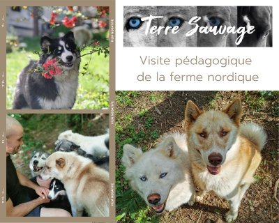 Ferme nordique de Terre Sauvage