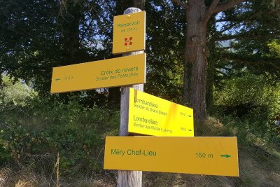 Sentier du Grand Essart - Tourriers