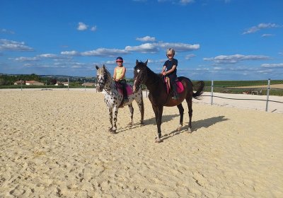 Elevage du Lac - Centre équestre