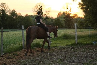 Cours & stages d'équitation éthologique avec Fanny Augereau