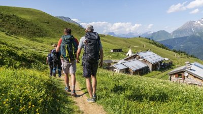 Les chiens du Ballon d'Alsace