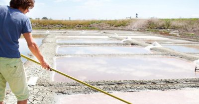 Visite guidée de l'Écomusée et découverte du marais salant