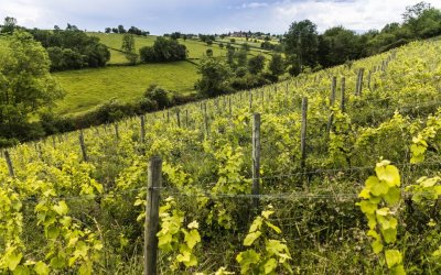 Circuit des trois vallons