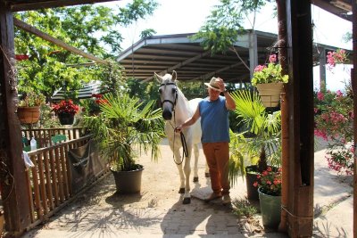 Centre equestre - Le Rouret