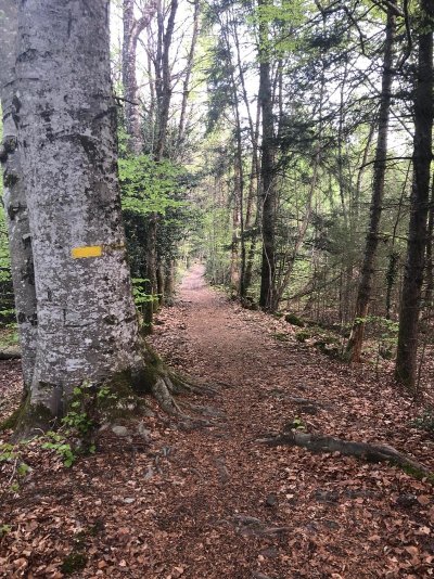 Sentier des aurières