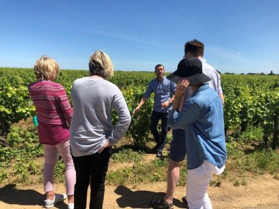 Safari Tours - Tour n°3 Tour prestigieux Le Safari des Grands Crus