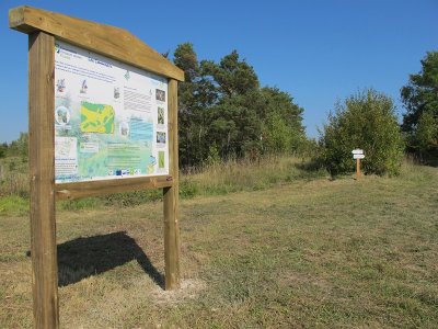 Pelouse calcicole de Chermizy-Ailles