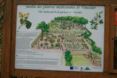 Jardin de plantes médicinales de l'Abbaye de Vauclair