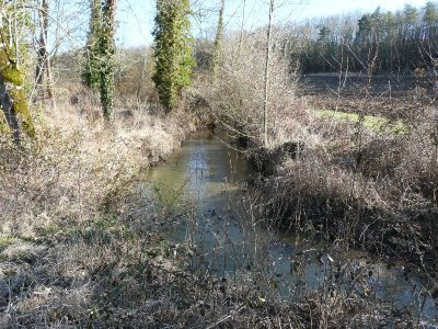 La vallée de la Donzelle