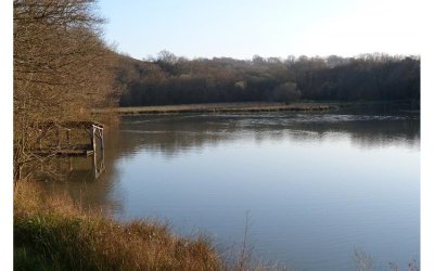 Réserve Naturelle de Chourroumillas