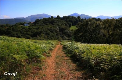 La Colline de la Bergerie