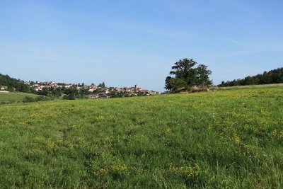 Circuit du patrimoine de Haute Rivoire