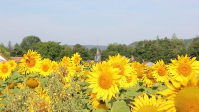 Le Moulin des tachyons