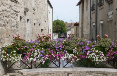 Balade à Châteauneuf-sur-Charente