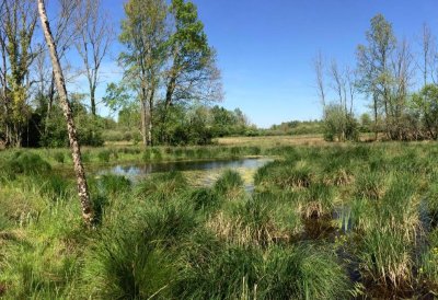 La Réserve Naturelle du Marais de Reuves