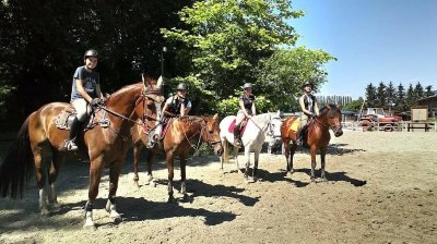 Centre Équestre Régional Fertois