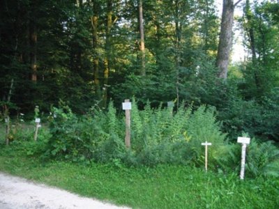 Parcours santé et sentier botanique de la Grange aux Bois