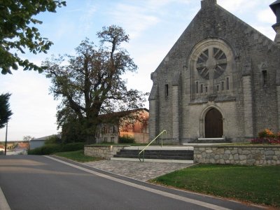 L'Acacia de Binarville