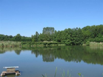 Etangs de Moiremont
