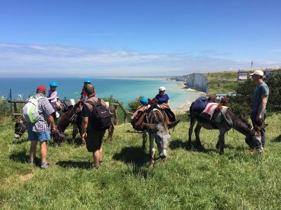 Rando'Ânes au Bois de Cise