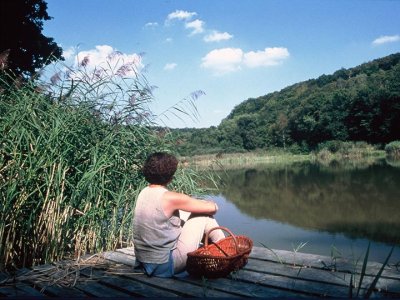Etangs de Châtrices