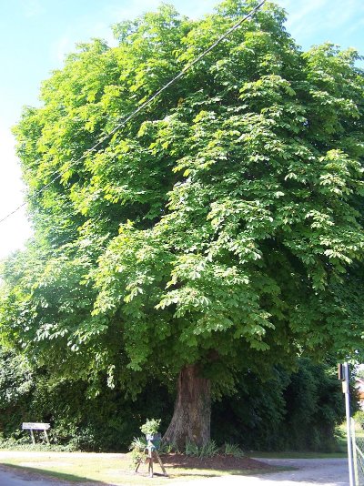 Balade à Les Rivières Henruel