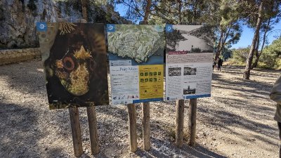 Randonnée vers la Calanque d'En-Vau en passant par Port-Pin