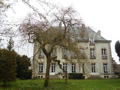 Le Frêne Pleureur de Vertus