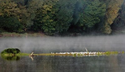 La Loire, le fleuve de Gien