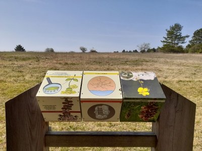 Sentier de découverte de Montgin - Les pelouses sèches de Champlitte