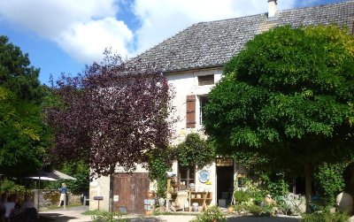 La Fourmilière - Atelier de Céramique