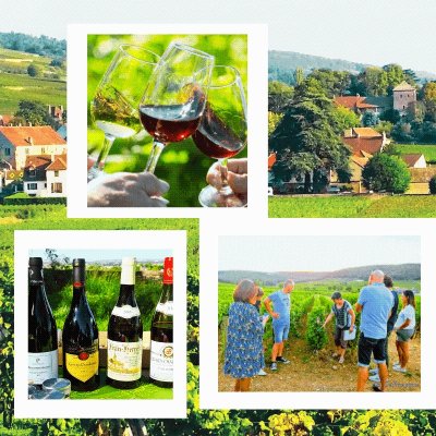 Clos de bourgogne, découverte des Secrets "vigne et vin"