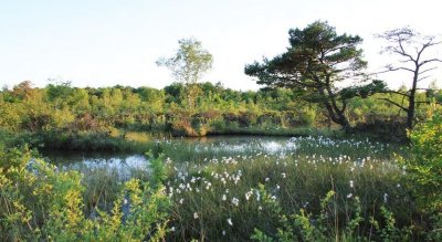 La Réserve Naturelle des Pâtis d'Oger et du Mesnil-sur-Oger