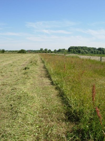 Les Prairies de Condren - Beautor