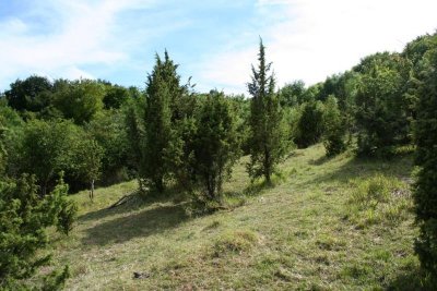 Les Larris d'Auteuil